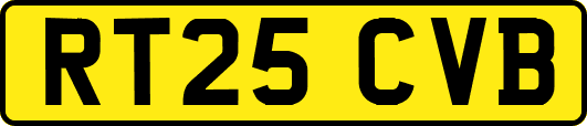 RT25CVB