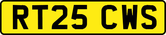 RT25CWS