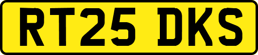 RT25DKS