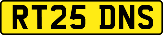 RT25DNS
