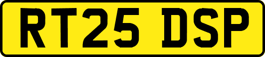 RT25DSP