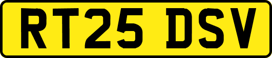 RT25DSV