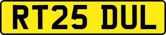 RT25DUL