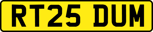 RT25DUM