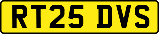 RT25DVS