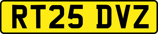 RT25DVZ