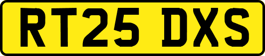 RT25DXS