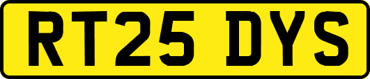 RT25DYS