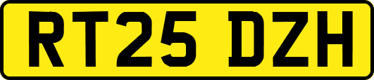 RT25DZH