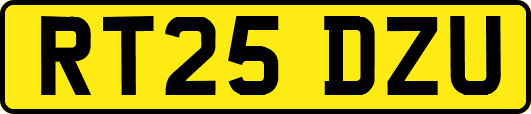 RT25DZU