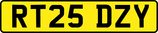 RT25DZY