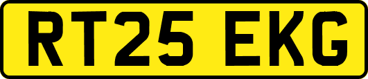 RT25EKG