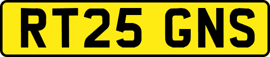 RT25GNS
