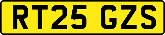RT25GZS