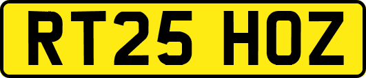 RT25HOZ