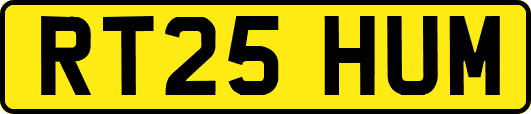 RT25HUM