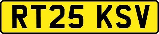 RT25KSV