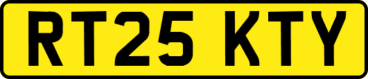 RT25KTY