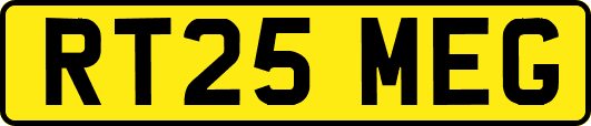 RT25MEG