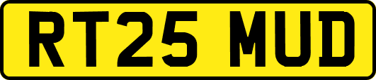 RT25MUD