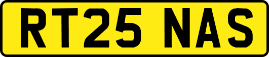 RT25NAS