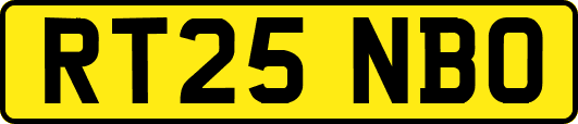 RT25NBO