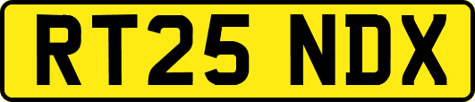 RT25NDX