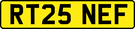 RT25NEF