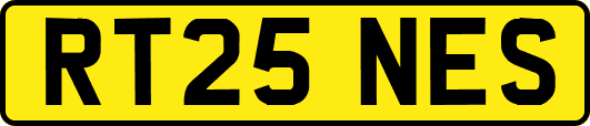 RT25NES