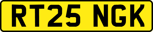 RT25NGK