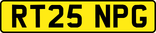 RT25NPG