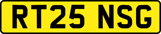 RT25NSG