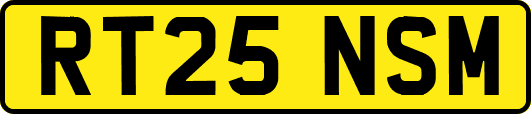 RT25NSM