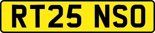RT25NSO