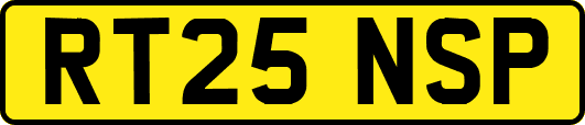 RT25NSP