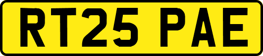 RT25PAE