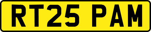 RT25PAM