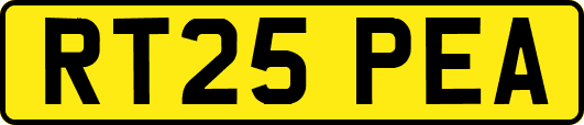 RT25PEA