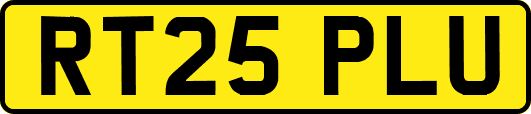 RT25PLU