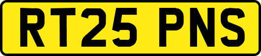 RT25PNS