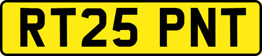 RT25PNT