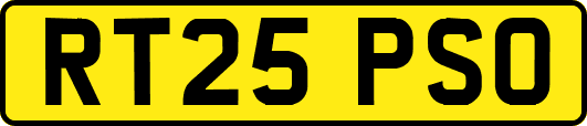 RT25PSO