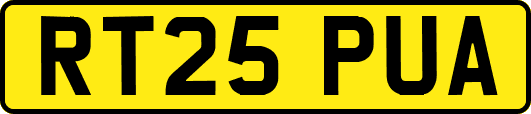 RT25PUA