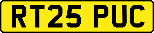 RT25PUC