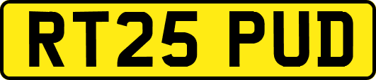 RT25PUD