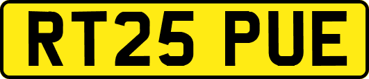 RT25PUE