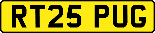 RT25PUG