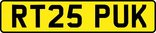 RT25PUK