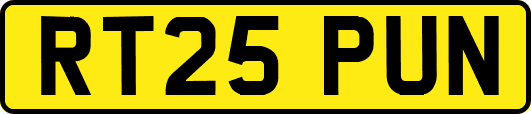RT25PUN