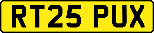 RT25PUX